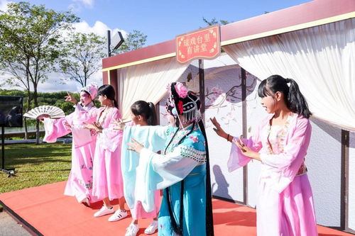 海南舉辦新時代文明實踐志愿服務項目展示活動，數字創意賦能志愿服務新風尚